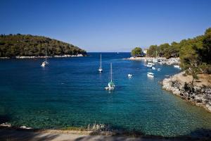 un grupo de barcos en un gran cuerpo de agua en Exclusive Apartments Milahomes by the sea, boot mooring and private parking, en Mali Lošinj