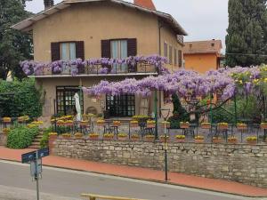 a house with purple flowers on the side of it at Il Glicine - anemone in Paciano