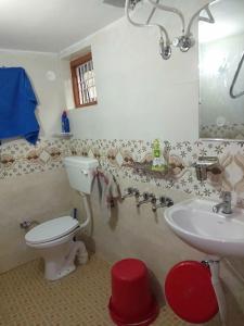 a bathroom with a toilet and a sink at Kanta riverside Home stay in Pālampur