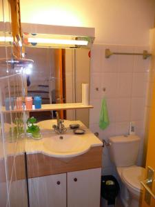 a bathroom with a sink and a toilet at Antilles Liberte in Sainte-Anne