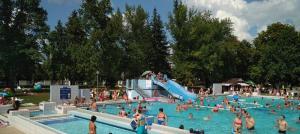 a group of people in a swimming pool at Sweet Summer Apartman Zsory in Mezőkövesd
