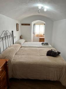 - une chambre avec 2 lits et une fenêtre dans l'établissement la cueva de guadix, à Guadix