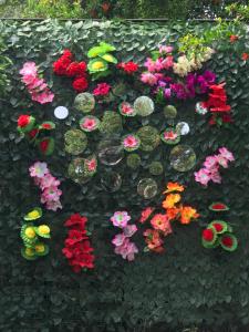 kwiaty w ogrodzie kwiatowym w obiekcie Montebello Inn apartments w Ulcinju