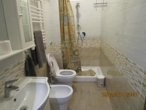 uma casa de banho com um lavatório, um WC e um chuveiro em Relax em Monte Libretti
