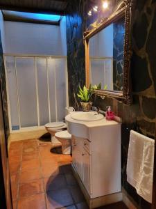 een badkamer met een wastafel, een toilet en een spiegel bij La Buganvilla, descanso entre olivares in Hornachuelos