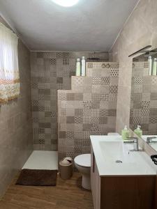 La salle de bains est pourvue d'un lavabo et de toilettes. dans l'établissement la cueva de guadix, à Guadix