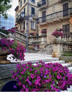 een gebouw met paarse bloemen ervoor bij Ferruccio's House in Colonnella