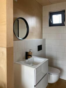 ein Badezimmer mit einem Waschbecken, einem WC und einem Spiegel in der Unterkunft Riverfront Cabins in the garden in Posen