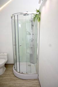 a glass shower in a bathroom with a toilet at Casa Flotante La Trinidad in Guatapé