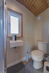 a bathroom with a toilet and a sink and a window at Berllan Y Bugail Shepherds Hut in Llanwrda