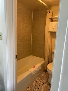 a bathroom with a tub and a toilet at Horseshoe Curve Lodge in Altoona