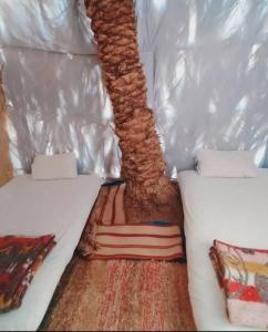 un árbol en una tienda con almohadas y un baúl en كامب طموسي, en Siwa