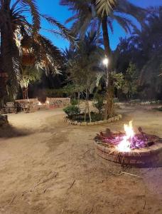 a fire pit in the middle of a park at night at كامب طموسي in Siwa