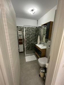 La salle de bains est pourvue d'une douche, de toilettes et d'un lavabo. dans l'établissement GlamArt Apartment, à Craiova