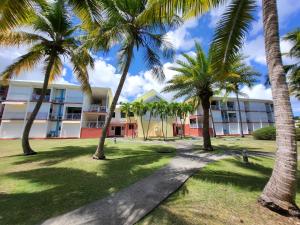 eine Reihe von Palmen vor einem Gebäude in der Unterkunft studio colibri in Saint-François