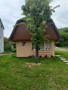 a small house with a tree in the yard at LAF Guest House in Kolašin