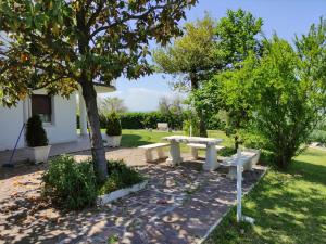 a park with a bench and a tree at Villa Margherita in San Giovanni Teatino