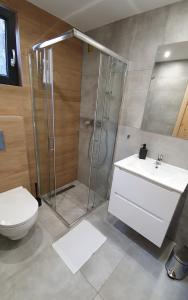 a bathroom with a shower and a toilet and a sink at Piaski Rogowa in Rogowo