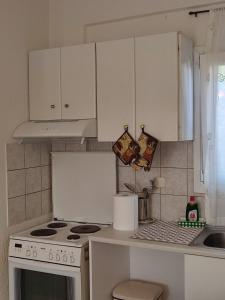 Kuchyň nebo kuchyňský kout v ubytování Kassandra Garden Residence