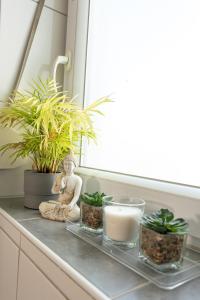 a window sill with plants and a statue and candles at #2 Großes Zimmer mit Pool und Garten in Memmingen