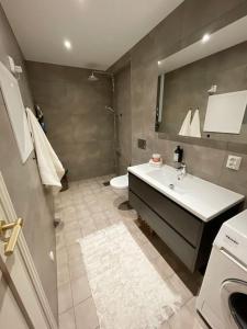 a bathroom with a sink and a toilet at Lekkert rekkehus med peis in Hektner
