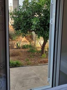 una puerta corredera de cristal con vistas a un árbol en Kassandra Garden Residence en Istro