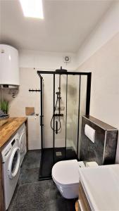 uma casa de banho com um chuveiro, um WC e um lavatório. em PALMA TRSAT with free private parking em Rijeka