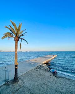 eine Palme am Strand neben dem Wasser in der Unterkunft Paradis in Vallauris