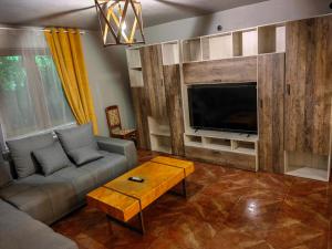 的住宿－Casa Zina，带沙发和平面电视的客厅
