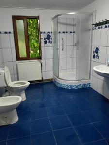 的住宿－Casa Zina，蓝色瓷砖浴室设有2个卫生间和淋浴