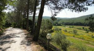 Agriturismo Pian di Farinello في Casa Pallini: طريق ترابي مع اشجار جانبيه