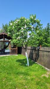 a tree in a yard next to a fence at Dana's House in Râşnov