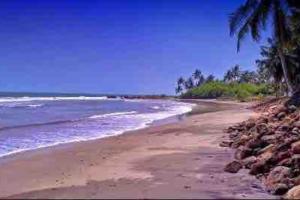 einen Sandstrand mit Palmen und dem Meer in der Unterkunft JaneChill Guest House in Accra