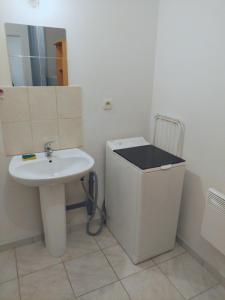 ein Badezimmer mit einem Waschbecken und einem Mülleimer in der Unterkunft Studio proche de la gare et du centre ville in Châlons-en-Champagne