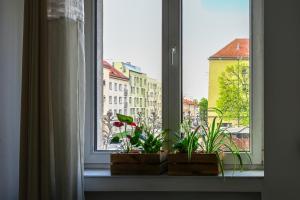 Fotografie z fotogalerie ubytování House with lanterns v destinaci Tychy