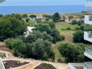 arial view of a yard with trees and the ocean at SeaCity Vibes Apartments in Monopoli