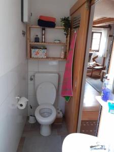 a small bathroom with a toilet and a sink at Fachwerk-Romantik 2 an der Mosel in Treis-Karden