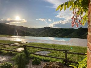a view of a pool in a vineyard with the sun setting at Agriturismo Camponovo in Brisighella
