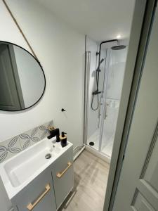 y baño con lavabo y ducha. en Villa Artiz en Dunkerque