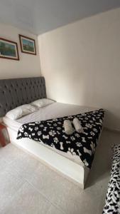 Fotografia z galérie ubytovania Hostal El Danubio Tolu v destinácii Tolú