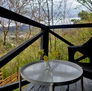 Příroda nedaleko apartmánu + 16 fotografií