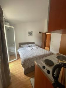 Kuchyň nebo kuchyňský kout v ubytování Apartments Manojlovic