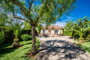 una casa con una palmera en el patio en Finca Alegre, en Lloseta