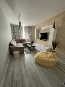 a living room with a couch and a rug at Ary apartments in Ocna-Mureşului