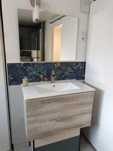 een badkamer met een wastafel en een spiegel bij L'échappée Comtoise in Baume-les-Dames