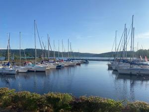 Ein paar Boote sind in einem Hafen angedockt. in der Unterkunft Apartmán Výhledy Lipno in Lipno nad Vltavou