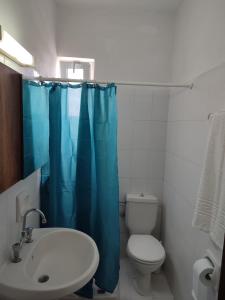 a bathroom with a toilet and a blue shower curtain at Dolphin Apartments in Faliraki