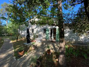 een huis met een boom en potplanten ervoor bij La Magistrale in Lorgues +15 foto's