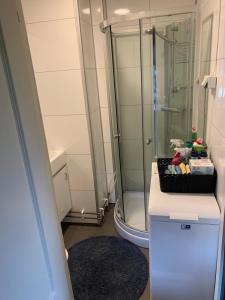 Koupelna v ubytování Anna's Apartment, Tromsdalen