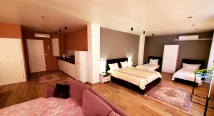 Sirius Apartment في شكودر: غرفة كبيرة بها سرير وأريكة
